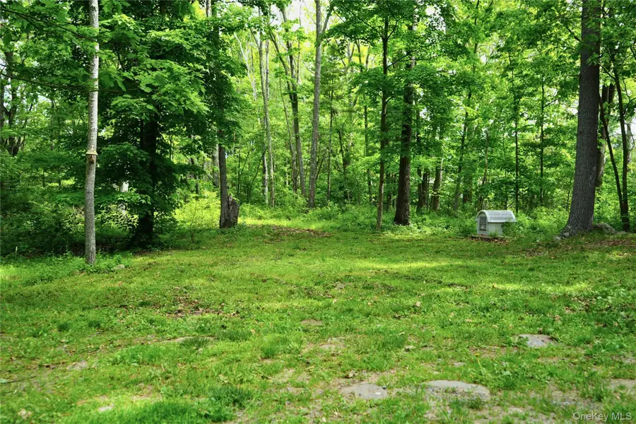 608 Mountain Avenue, Cairo, NY 12413 - #3