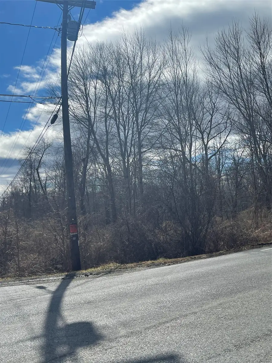 Noxon Road, Lagrangeville, NY 12540 - #3