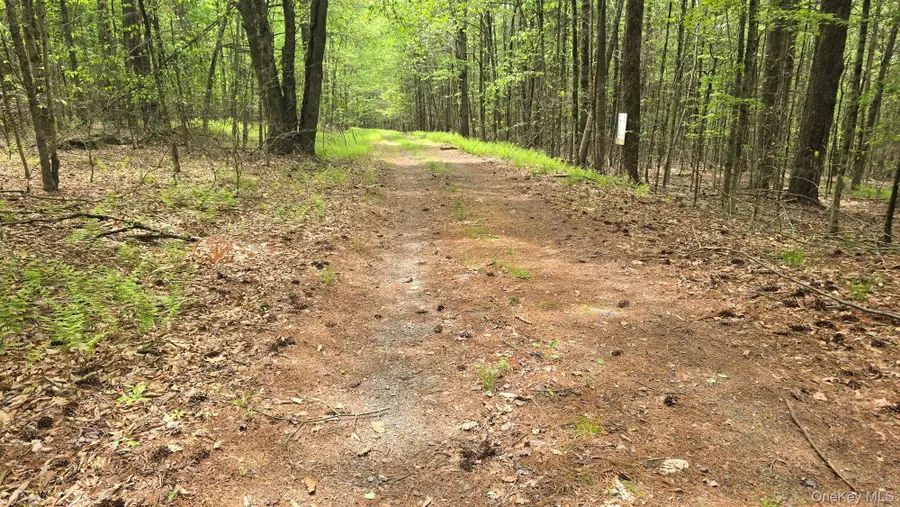 Starlight Drive, Monticello, NY 12701 - #2
