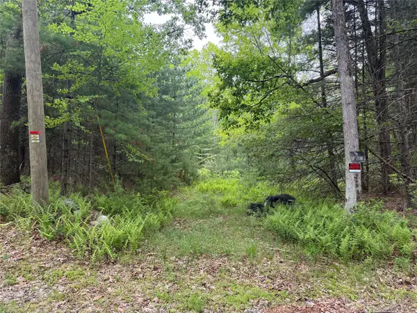Depot Road, Wurtsboro, NY 12790