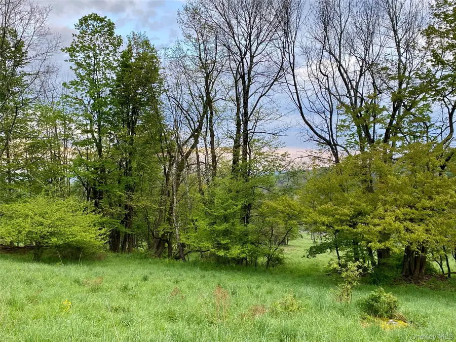 301 & 305 Hust Road Hust, Callicoon, NY 12748 - #2