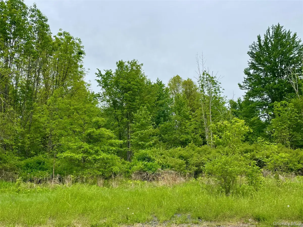 Orchard Drive, Plattekill, NY 12568 - #1