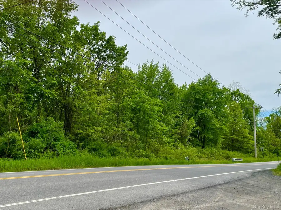 Orchard Drive, Plattekill, NY 12568 - #2