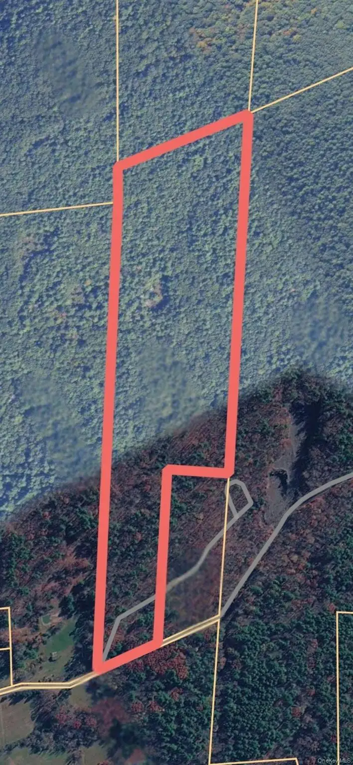 TBD Bill Matter Road, Coxsackie, NY 12051 - #3