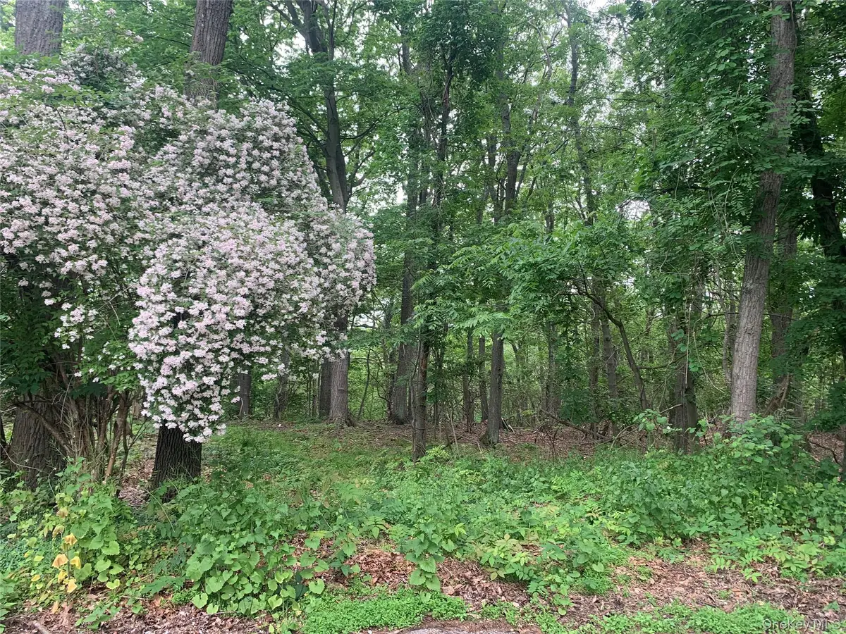 105 Laurel Lane, Port Jefferson, NY 11777 - #1