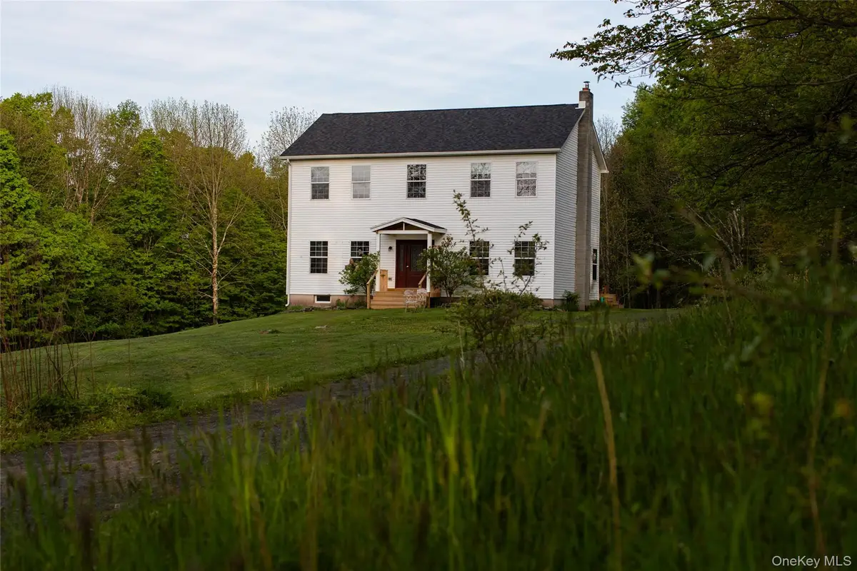 49 Yaun Road, Livingston Manor, NY 12758 - #1