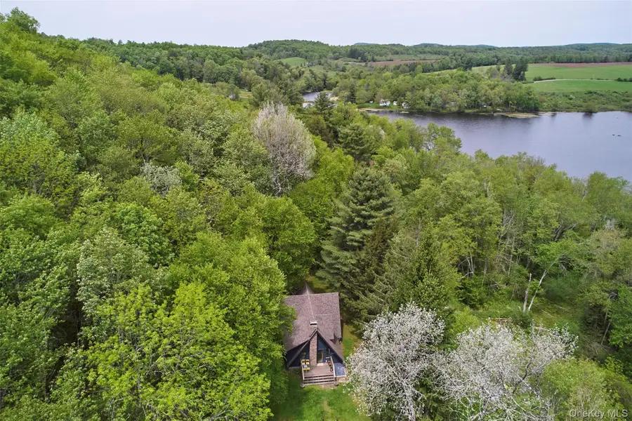 544 Briscoe Road, Swan Lake, NY 12783 - #2