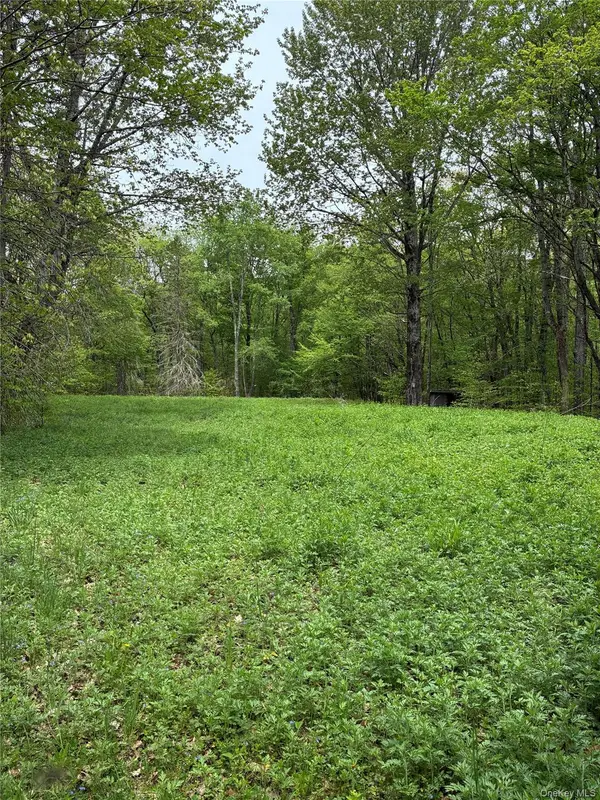 1 Mountain Lake Road, Call Listing Agent, NY 13731