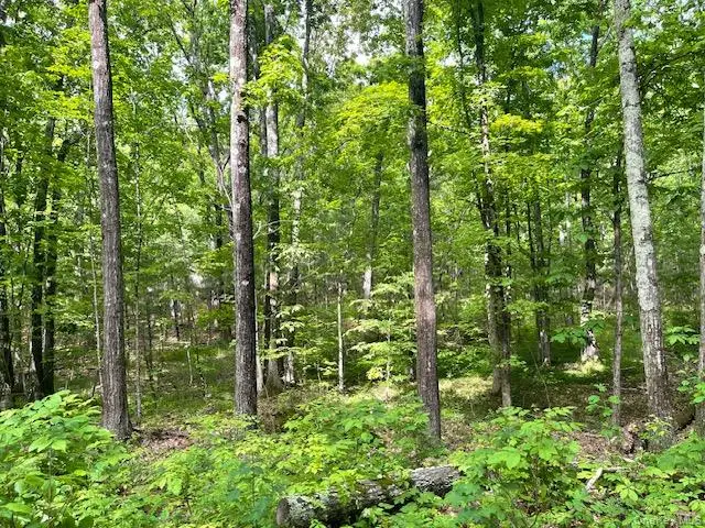 Joel M Austin Road N, Cairo, NY 12413 - #3