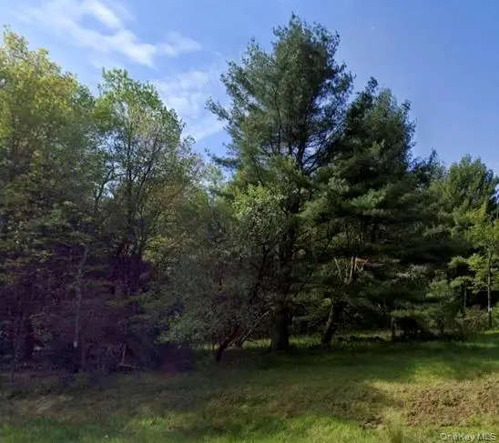 Devany Road, Ferndale, NY 12734 - #3