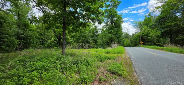 Address Withheld By Seller, Wurtsboro, NY 12790
