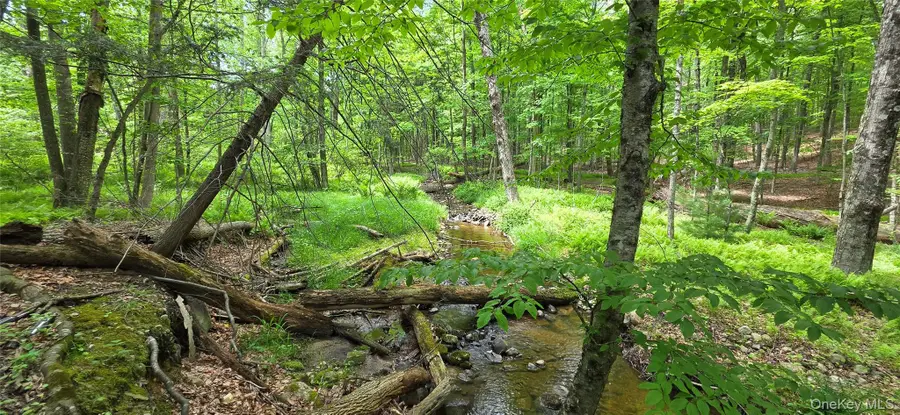Address Withheld By Seller, Wurtsboro, NY 12790 - #2