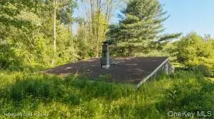 884 Camby Road, Millbrook, NY 12545 - #3