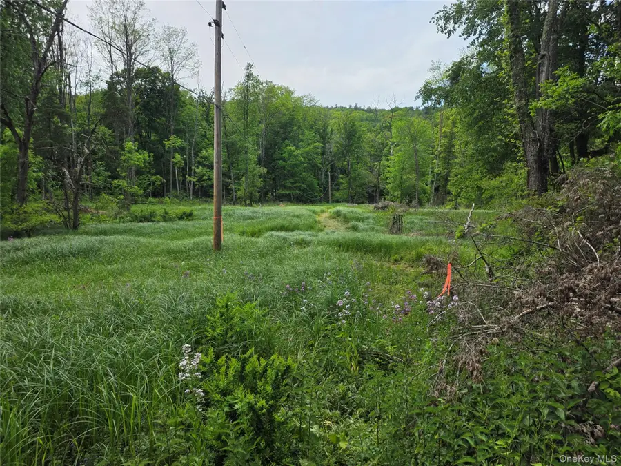 Cr-2 Road, Red Hook, NY 12571 - #2