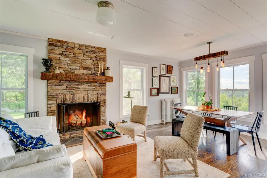 119 Lake Ridge Road, Narrowsburg, NY 12764 - #2