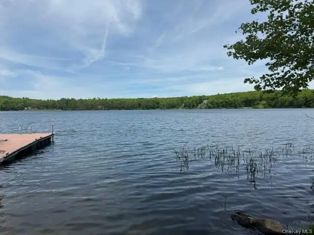 3 Perry Road, Barryville, NY 12719 - #2