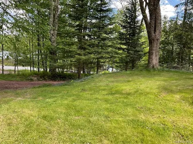 5 Lake Muskoday Road, Roscoe, NY 12776 - #3