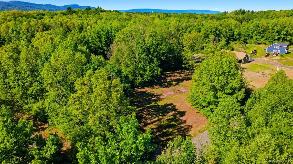 238 Bruceville Road, High Falls, NY 12440 - #1