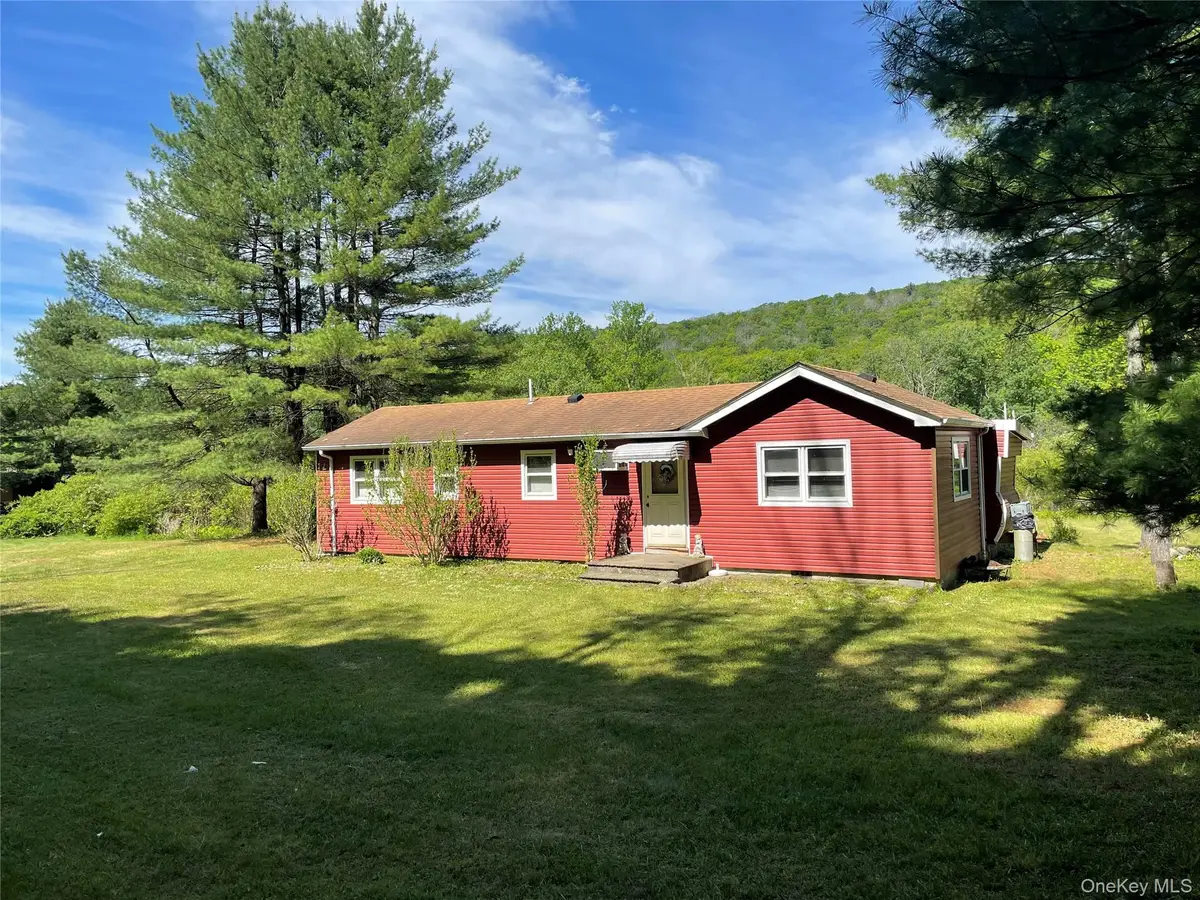 163 Fire House Road, Mamakating, NY 12781 - #1
