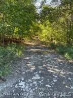 L-33 Harring Road, Cairo, NY 12413