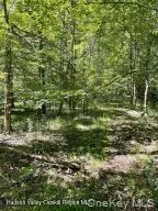 L-33 Harring Road, Cairo, NY 12413 - #2