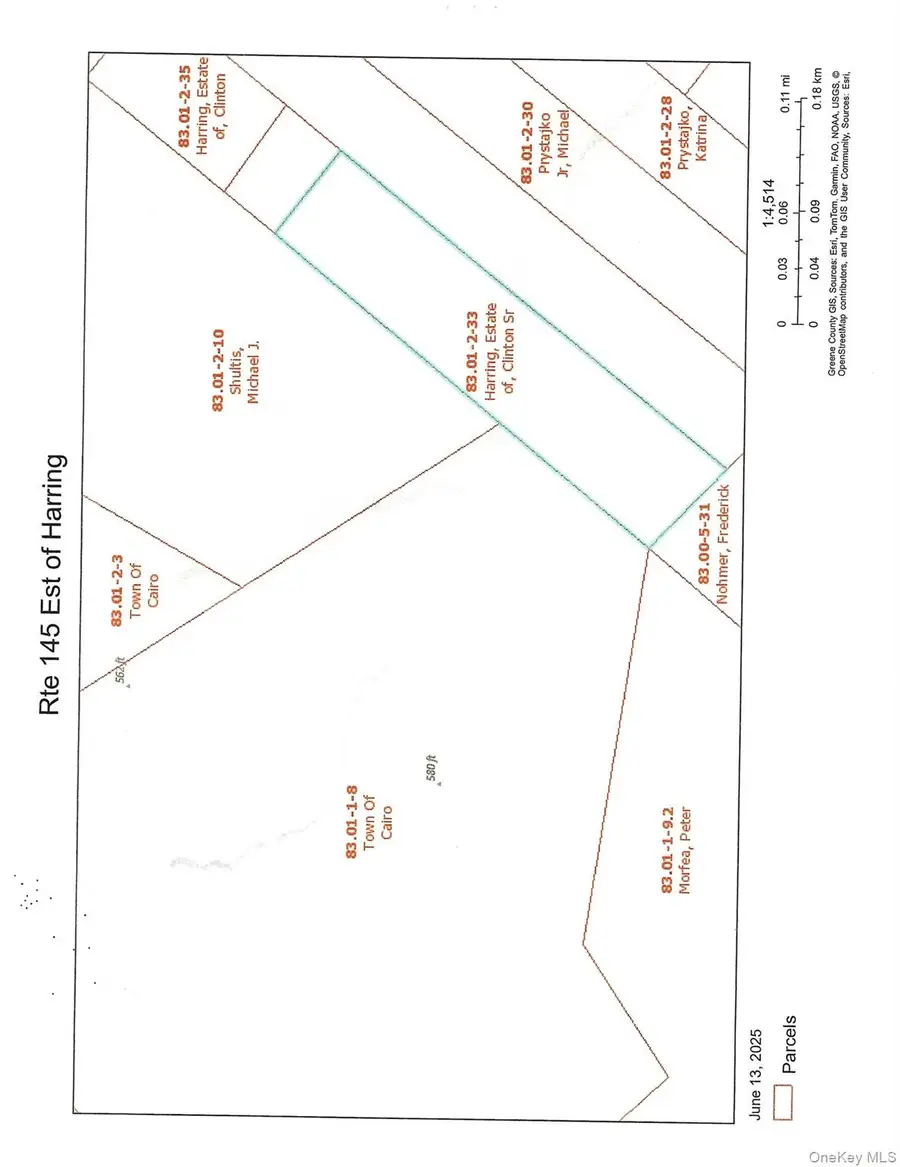 L-33 Harring Road, Cairo, NY 12413 - #3