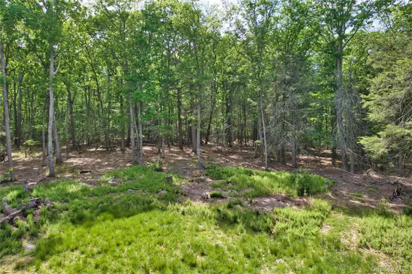 Jersey Road, Wurtsboro, NY 12790