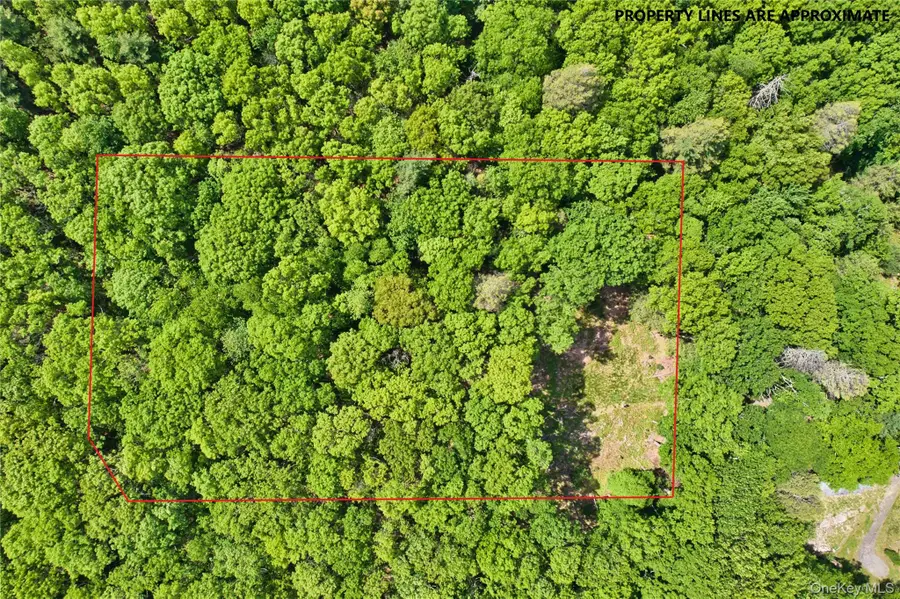 Jersey Road, Wurtsboro, NY 12790 - #2
