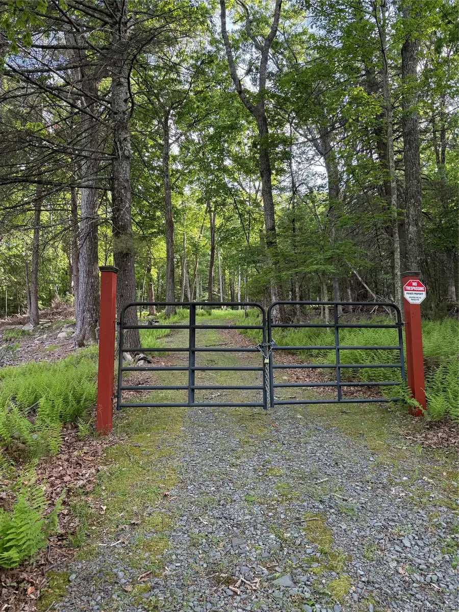 Jersey Road, Wurtsboro, NY 12790 - #3