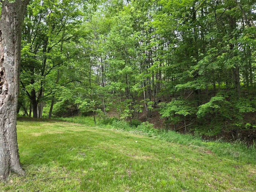 11 Spring Glen Road, Mountain Dale, NY 12763 - #3