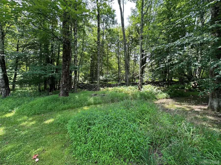81 Lindholm Road, Hurleyville, NY 12747 - #3