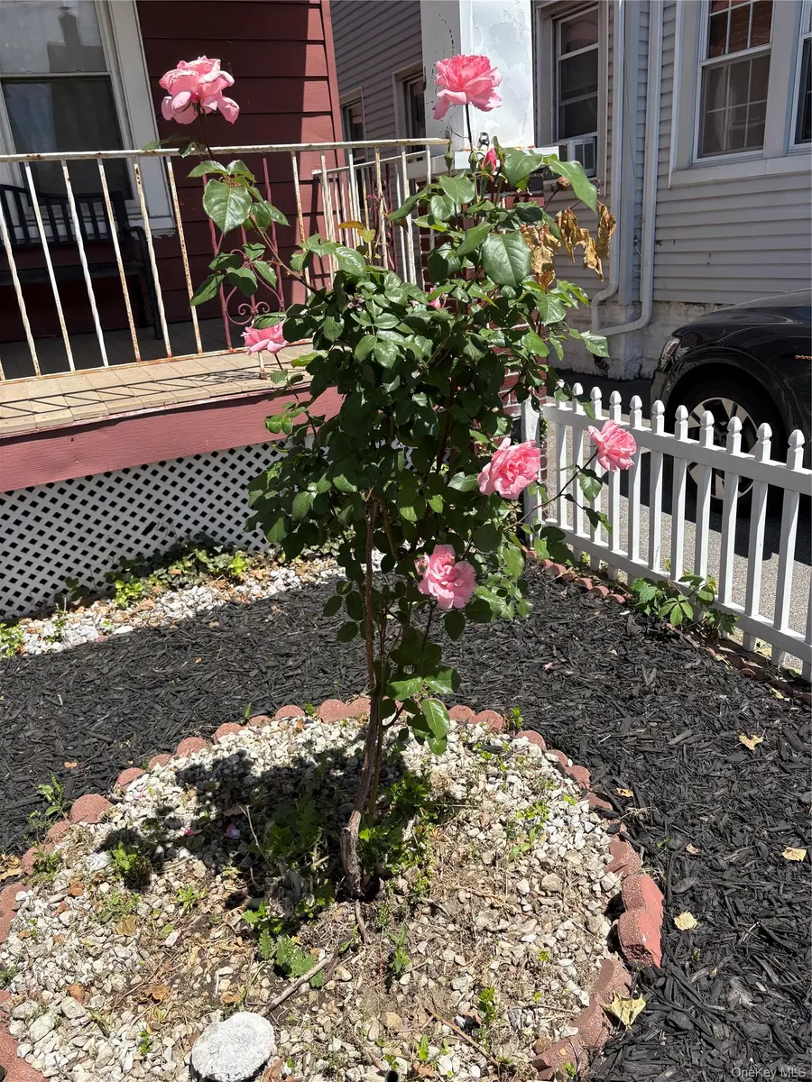 1712 Jarvis Avenue, Bronx, NY 10461 - #2
