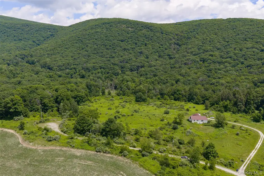 Mountain Edge Lane, Millerton, NY 12546 - #2