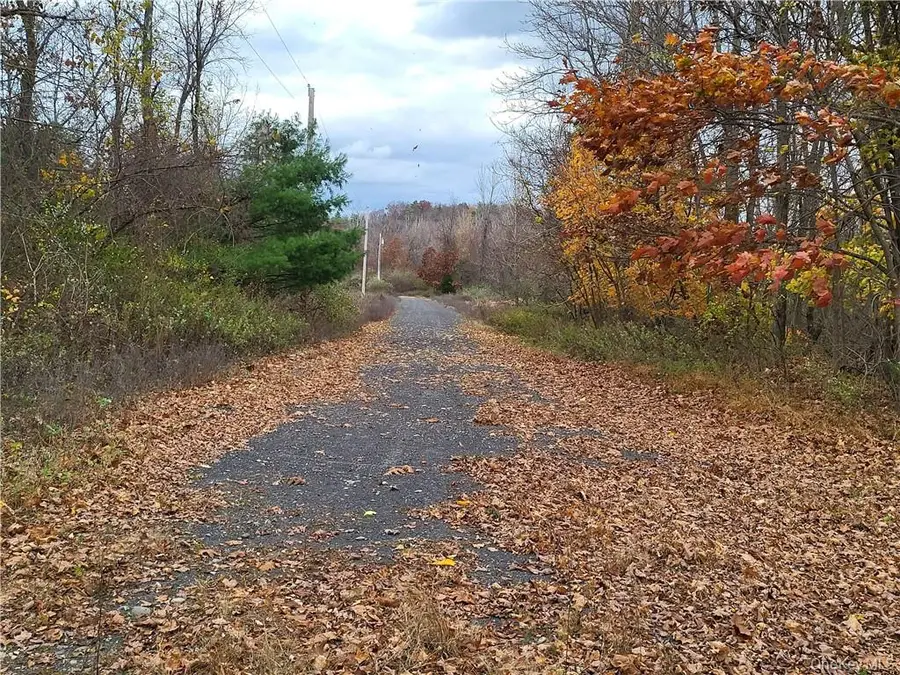 Ashley Drive - Lot 5, Rosendale, NY 12472 - #2
