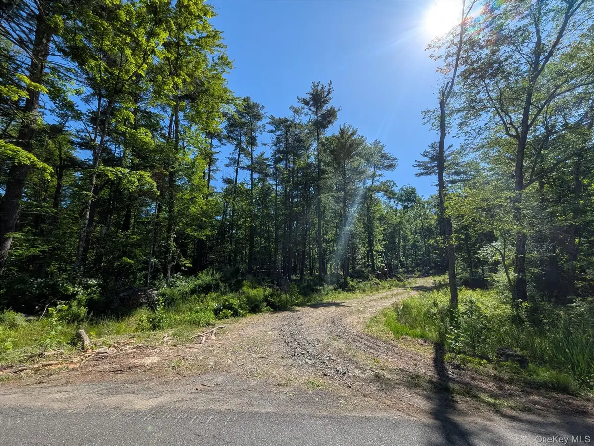 856 Berme Road, High Falls, NY 12440 - #1