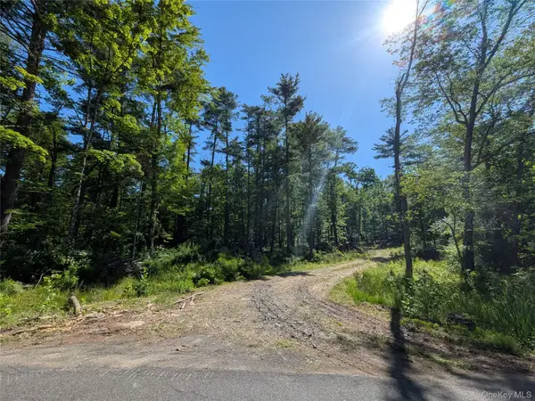 856 Berme Road, High Falls, NY 12440