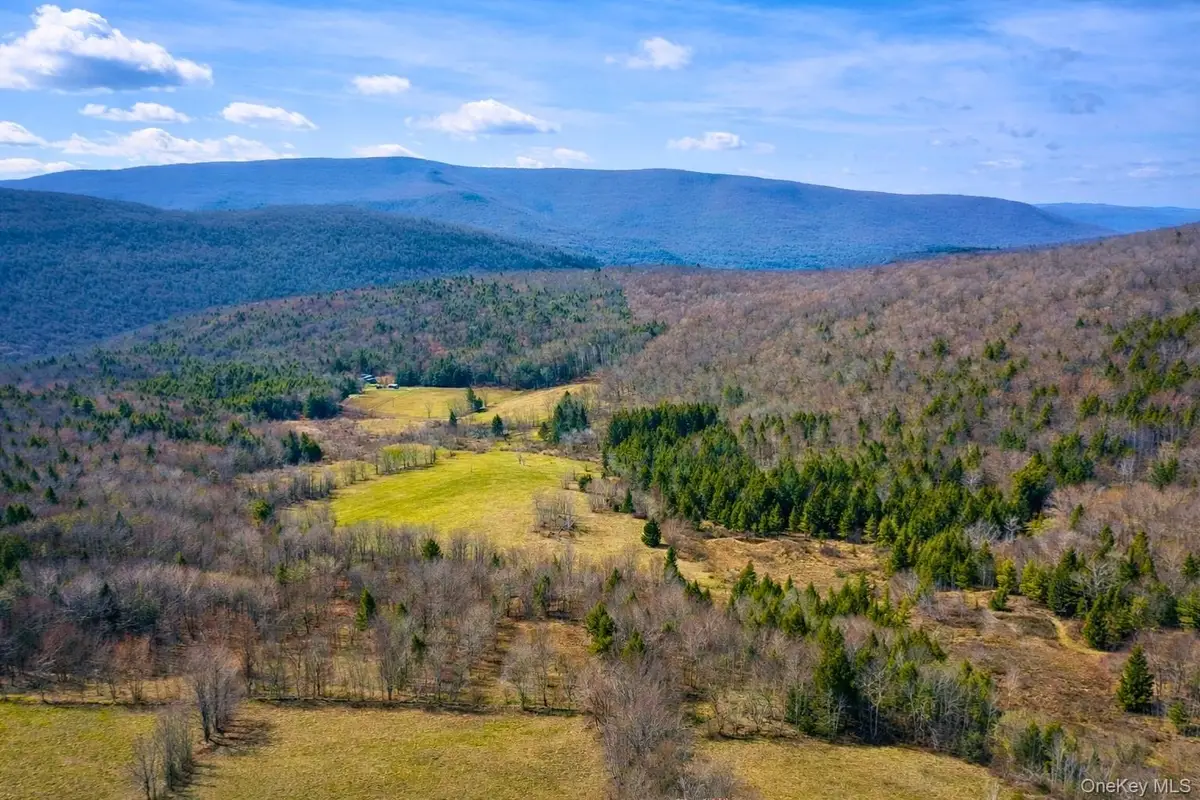 Hog Mountain, Fleischmanns, NY 12430 - #1