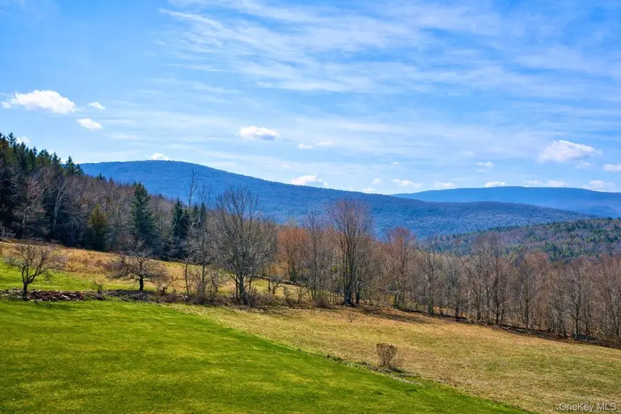 Hog Mountain, Fleischmanns, NY 12430 - #2