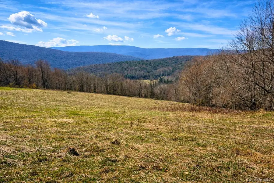 Hog Mountain, Fleischmanns, NY 12430 - #3