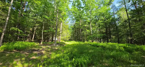 00 Church Aka Pan Am Road, Mountain Dale, NY 12763