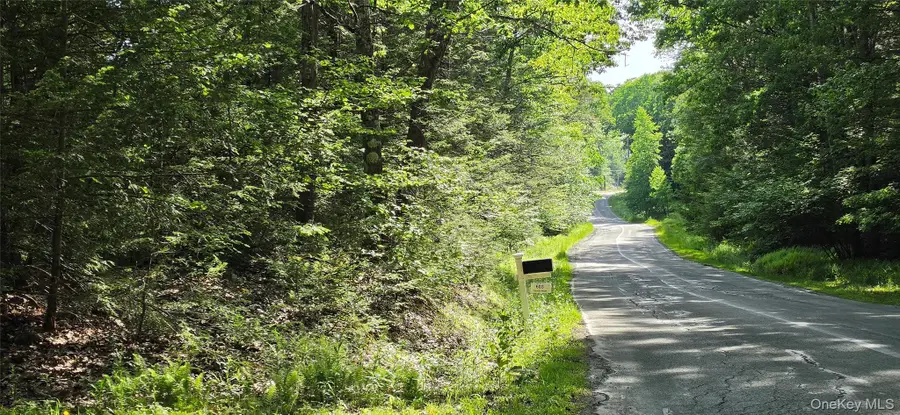 00 Church Aka Pan Am Road, Mountain Dale, NY 12763 - #2