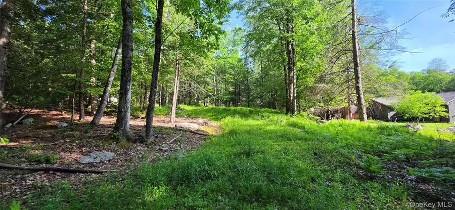 00 Church Aka Pan Am Road, Mountain Dale, NY 12763 - #3