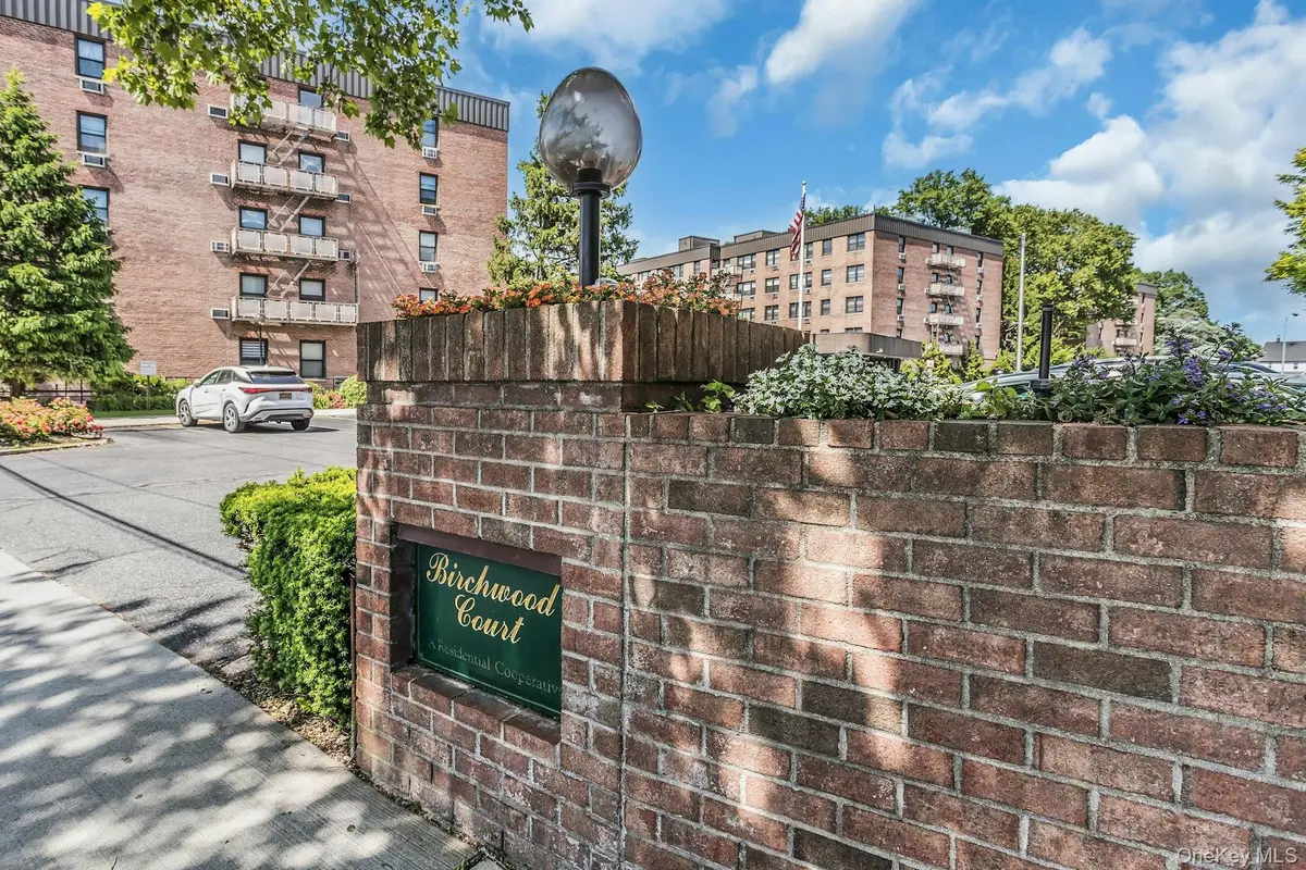 1 Birchwood #5J, Mineola, NY 11501 - #1