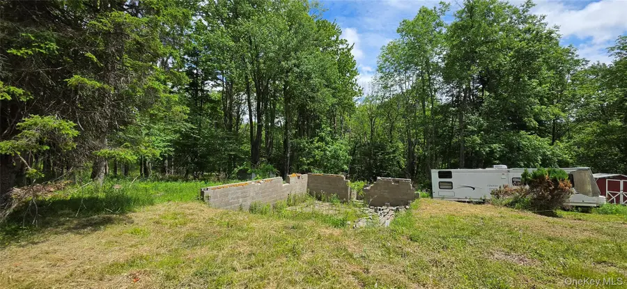 208 Parksville Road, Parksville, NY 12768 - #3