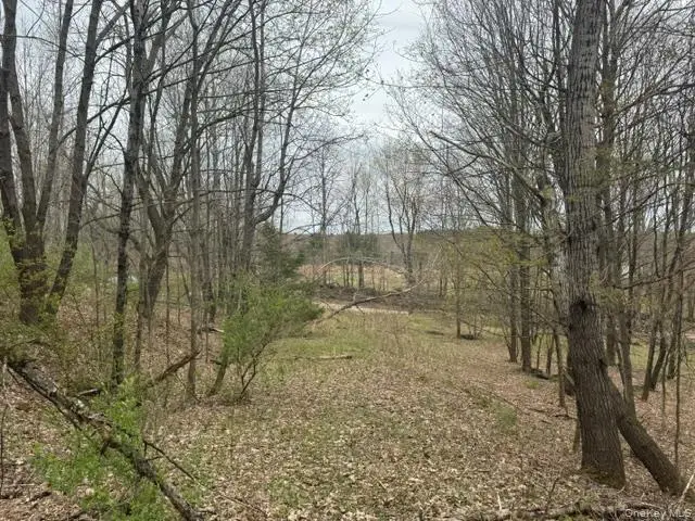 Lot 4 Shaver Hill Road, Meredith, NY 13806 - #3