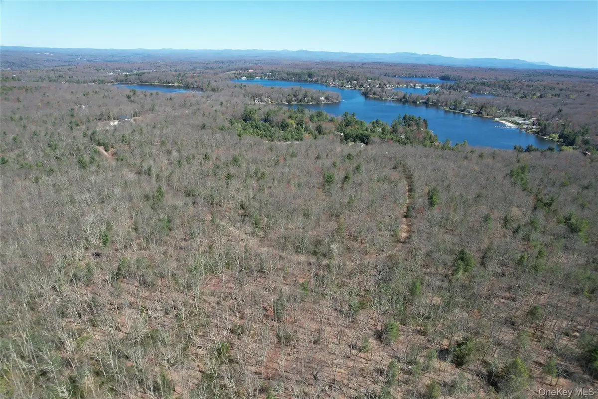 Old Sackett Road, Rock Hill, NY 12775 - #1