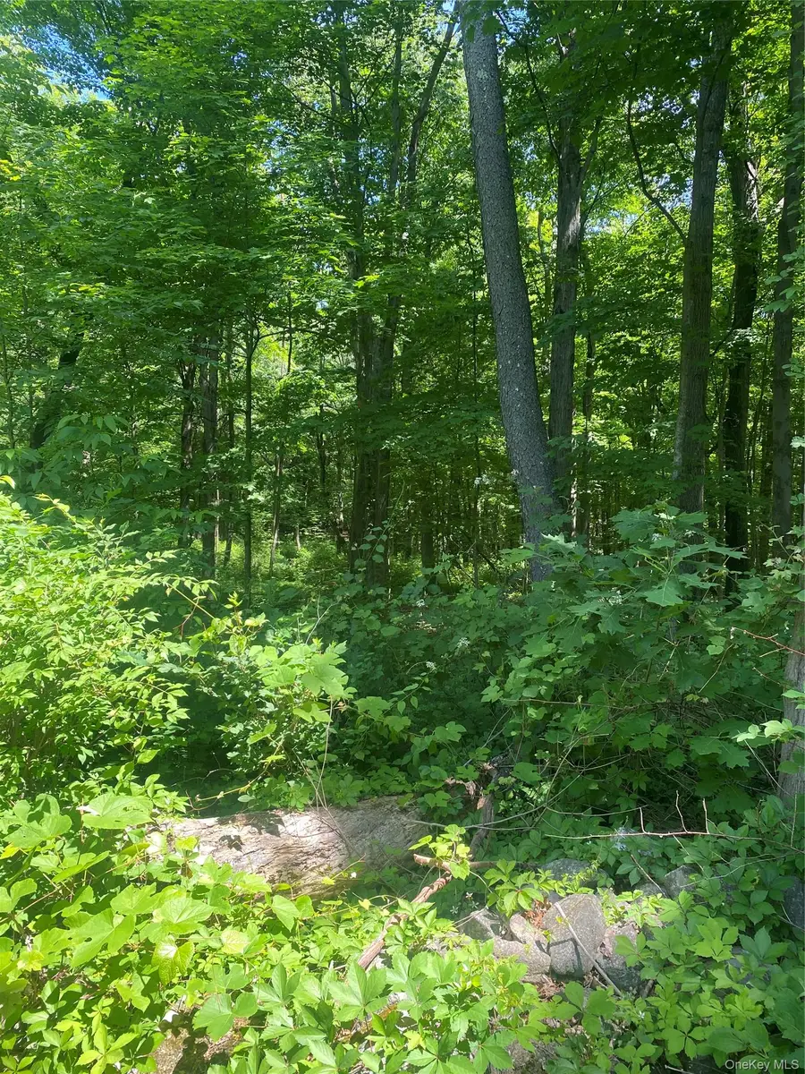 123 Meads Farm Road, Stormville, NY 12582 - #2