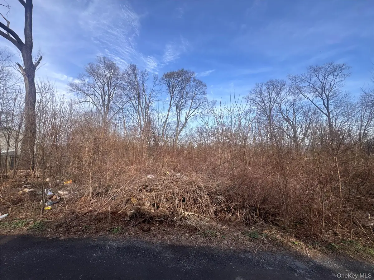 121 Robinson Avenue, Newburgh, NY 12550 - #1