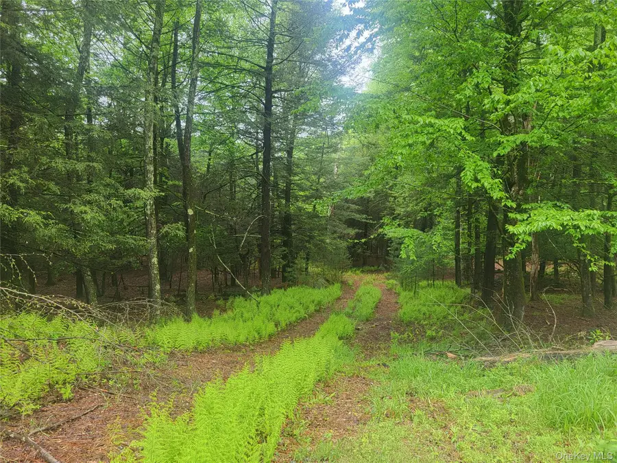 *** Marsh Rd, Glen Wild, NY 12733 - #3