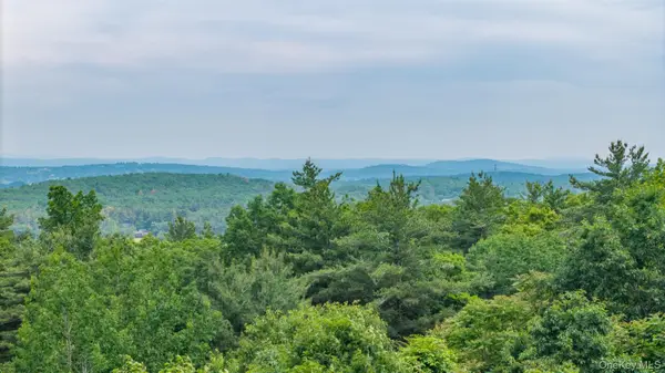 TBD Skinner Lane, Athens, NY 12015
